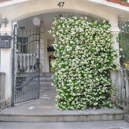 Apartmaji Stamcar Изола Экстерьер фото